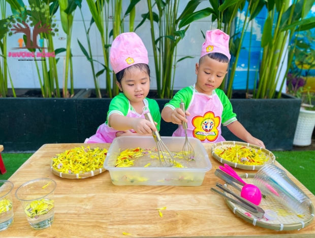 Lớp Apple - Súp Hoa Quả