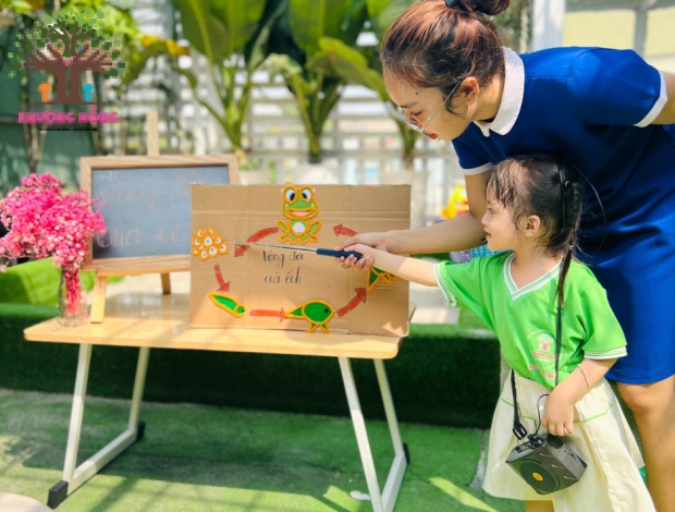 Lớp Strawberry - Khám Phá Vòng Đời Của Ếch