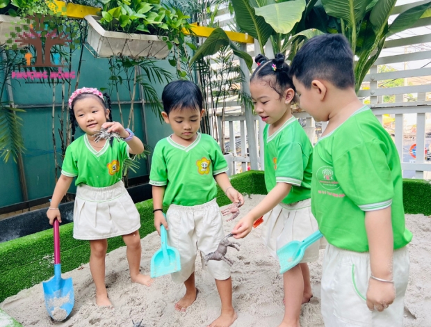 Lớp Orange - Truy Tìm Các Con Vật Trong Cát