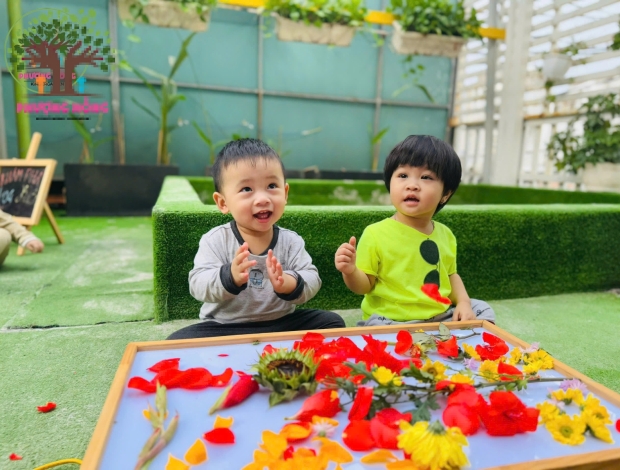 Chuyến Hành Trình Khám Phá Hoa Xuân